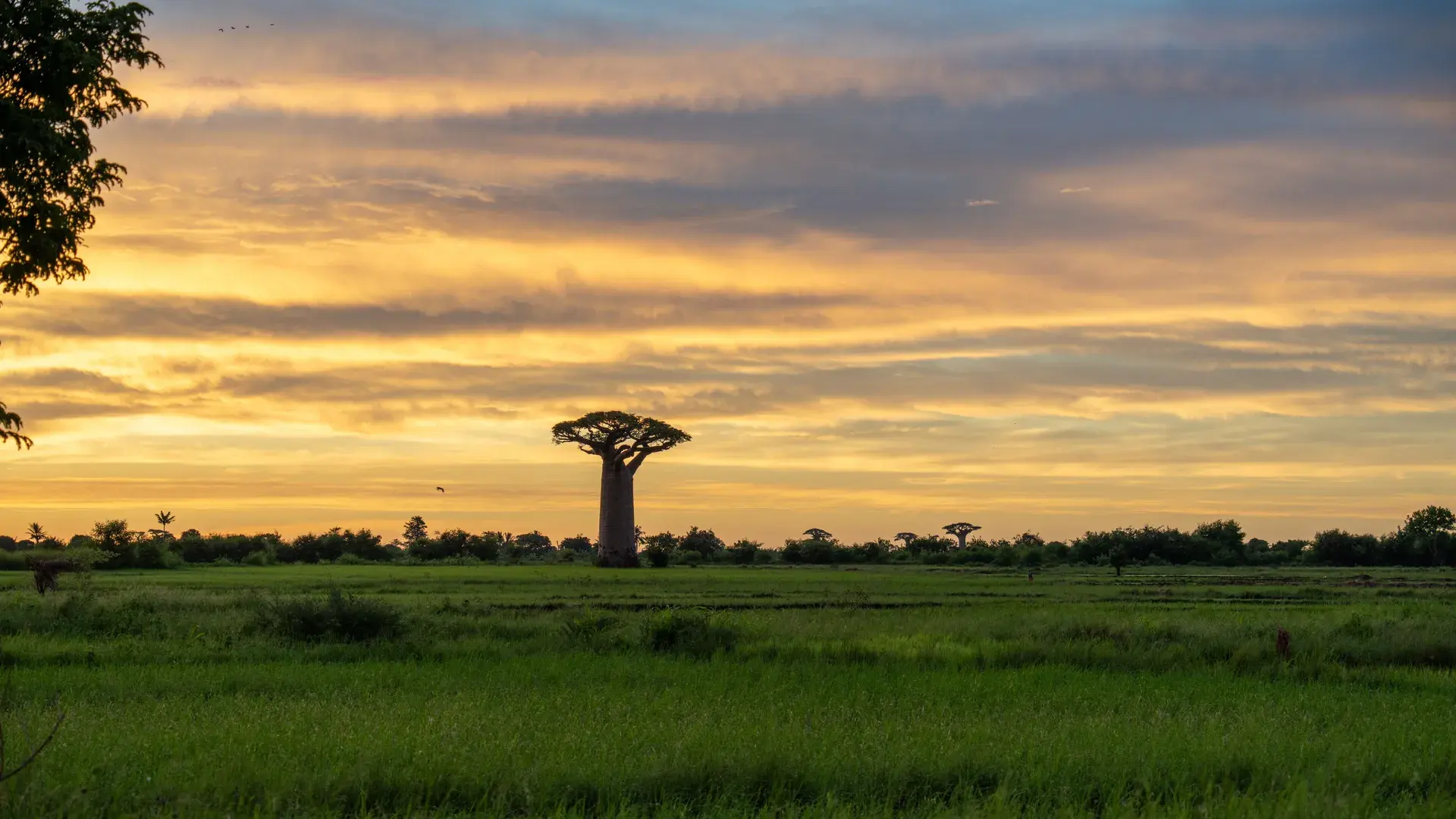 Madagascar