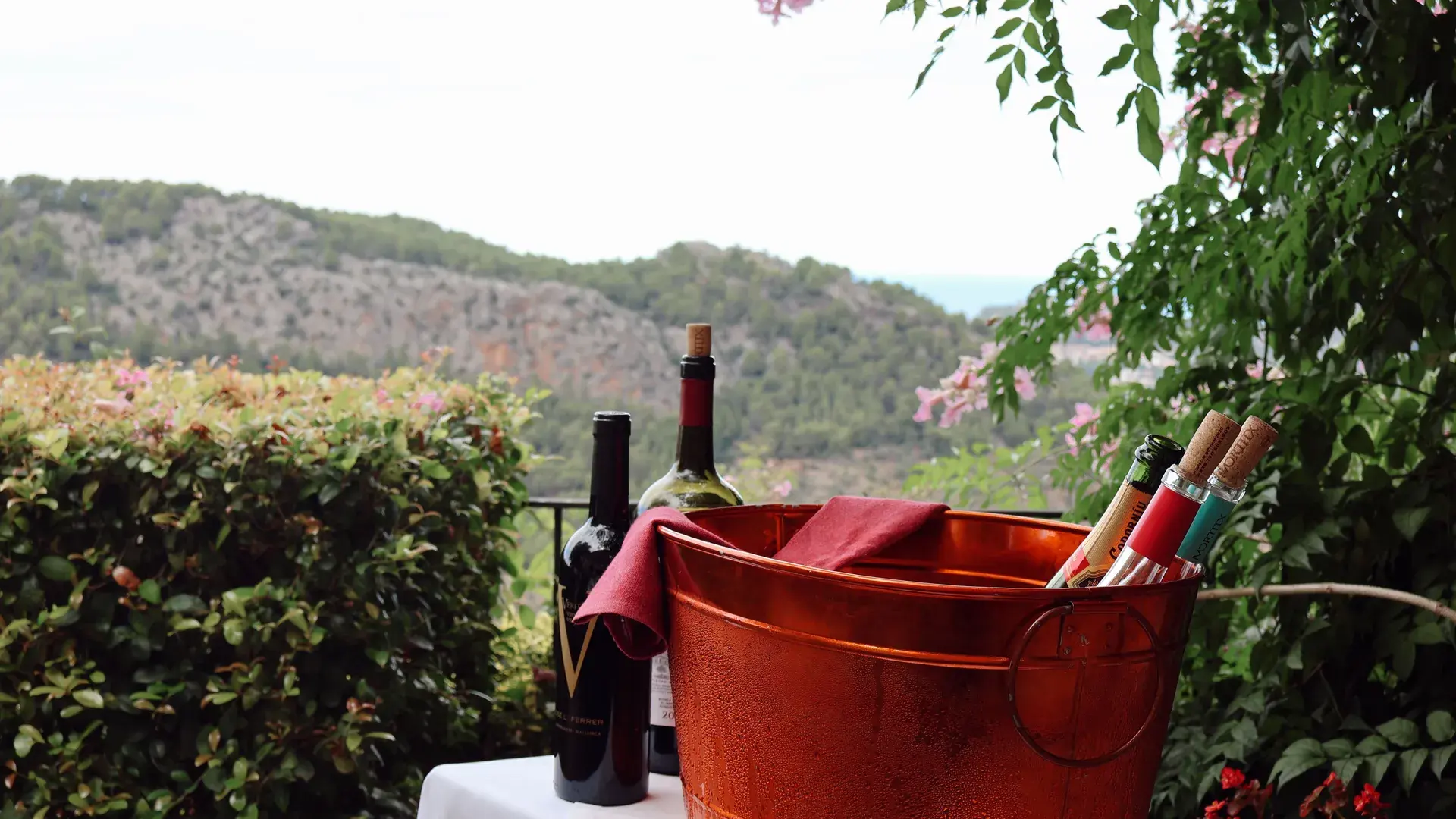 Comida e Vinho